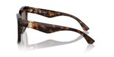 Burberry BE4419F Sunglasses
