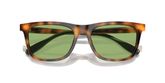 POLO PH4205U Sunglasses