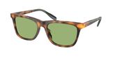 POLO PH4205U Sunglasses