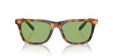 POLO PH4205U Sunglasses
