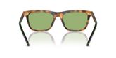 POLO PH4205U Sunglasses