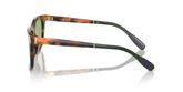 POLO PH4205U Sunglasses