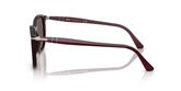 Persol PO3355S Sunglasses