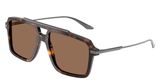 Dolce & Gabbana DG4477 Sunglasses