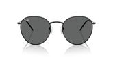 Ray Ban RBR0103S ROUND REVERSE Sunglasses