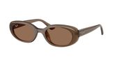 Ray Ban RB4441D Sunglasses