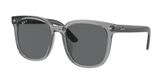 Ray Ban RB4401D Sunglasses