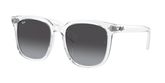 Ray Ban RB4401D Sunglasses