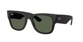 Ray Ban RB4840S Sunglasses