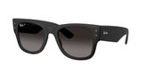 Ray Ban RB4840S Sunglasses