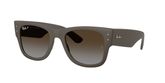 Ray Ban RB4840S Sunglasses