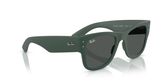 Ray Ban RB4840S Sunglasses