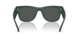 Ray Ban RB4840S Sunglasses