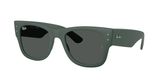 Ray Ban RB4840S Sunglasses