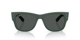 Ray Ban RB4840S Sunglasses