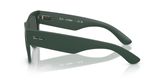 Ray Ban RB4840S Sunglasses