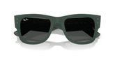 Ray Ban RB4840S Sunglasses
