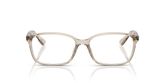 Ray Ban RX7094D Eyeglasses