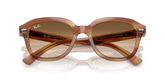 Ray Ban RB4398 ERIK Sunglasses