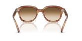 Ray Ban RB4398 ERIK Sunglasses