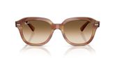 Ray Ban RB4398 ERIK Sunglasses
