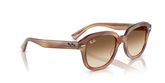 Ray Ban RB4398 ERIK Sunglasses