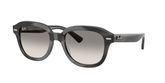 Ray Ban RB4398 ERIK Sunglasses
