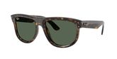 Ray Ban RBR0501S BOYFRIEND REVERSE Sunglasses