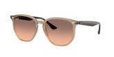 Ray Ban RB4306 Sunglasses