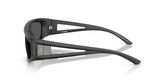 Armani Exchange AX4159SU Sunglasses