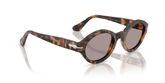 Persol PO3378S LORIS Sunglasses