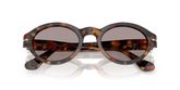 Persol PO3378S LORIS Sunglasses