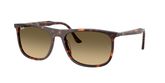 Ray Ban RB2216 Sunglasses