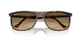 Ray Ban RB2216 Sunglasses