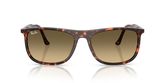Ray Ban RB2216 Sunglasses