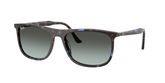 Ray Ban RB2216F Sunglasses