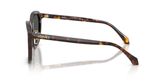 Versace VE4493D Sunglasses