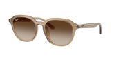 Ray Ban RB4459D Sunglasses