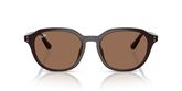 Ray Ban RB4459D Sunglasses