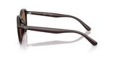 Ray Ban RB4459D Sunglasses