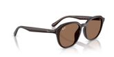 Ray Ban RB4459D Sunglasses