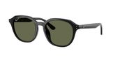 Ray Ban RB4459D Sunglasses