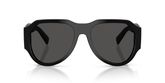 Dolce & Gabbana DG4504 Sunglasses