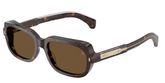 Moncler ME6008 SUNTRAP Sunglasses