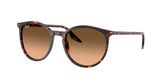Ray Ban RB2204 Sunglasses