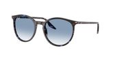Ray Ban RB2204 Sunglasses