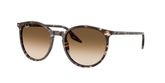 Ray Ban RB2204 Sunglasses