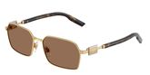 Dolce & Gabbana DG2316 Sunglasses