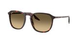 Ray Ban RB2203 Sunglasses