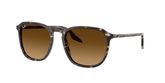Ray Ban RB2203 Sunglasses